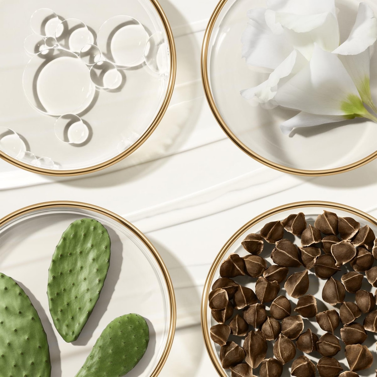 ESTEE LAUDER Revitalizing Supreme+ Crème Délicate Révélatrice de Jeunesse
