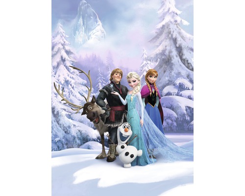 Fotobehangpapier 4-498 Disney Edition 4 Frozen Winter Land 4-delige set 184 x 254 cm