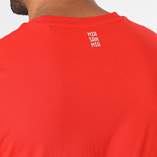 Tee Shirt Bayern Munich DNA HY3292 Rouge