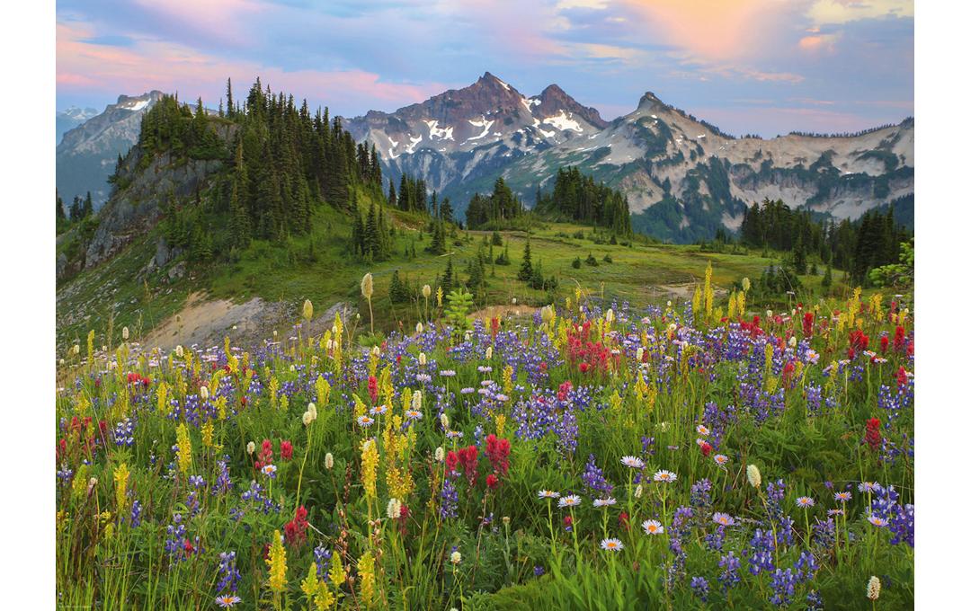 Puzzle Tatoosh Mountains StandardPuzzle mit 2000 Teilen