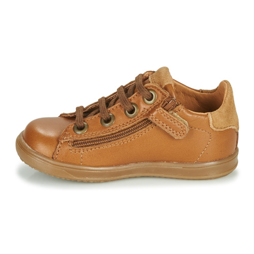 Little Mary - DUSTIN - Cognac