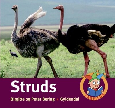 Struds - Fagfilur - Peter Bering - Bog