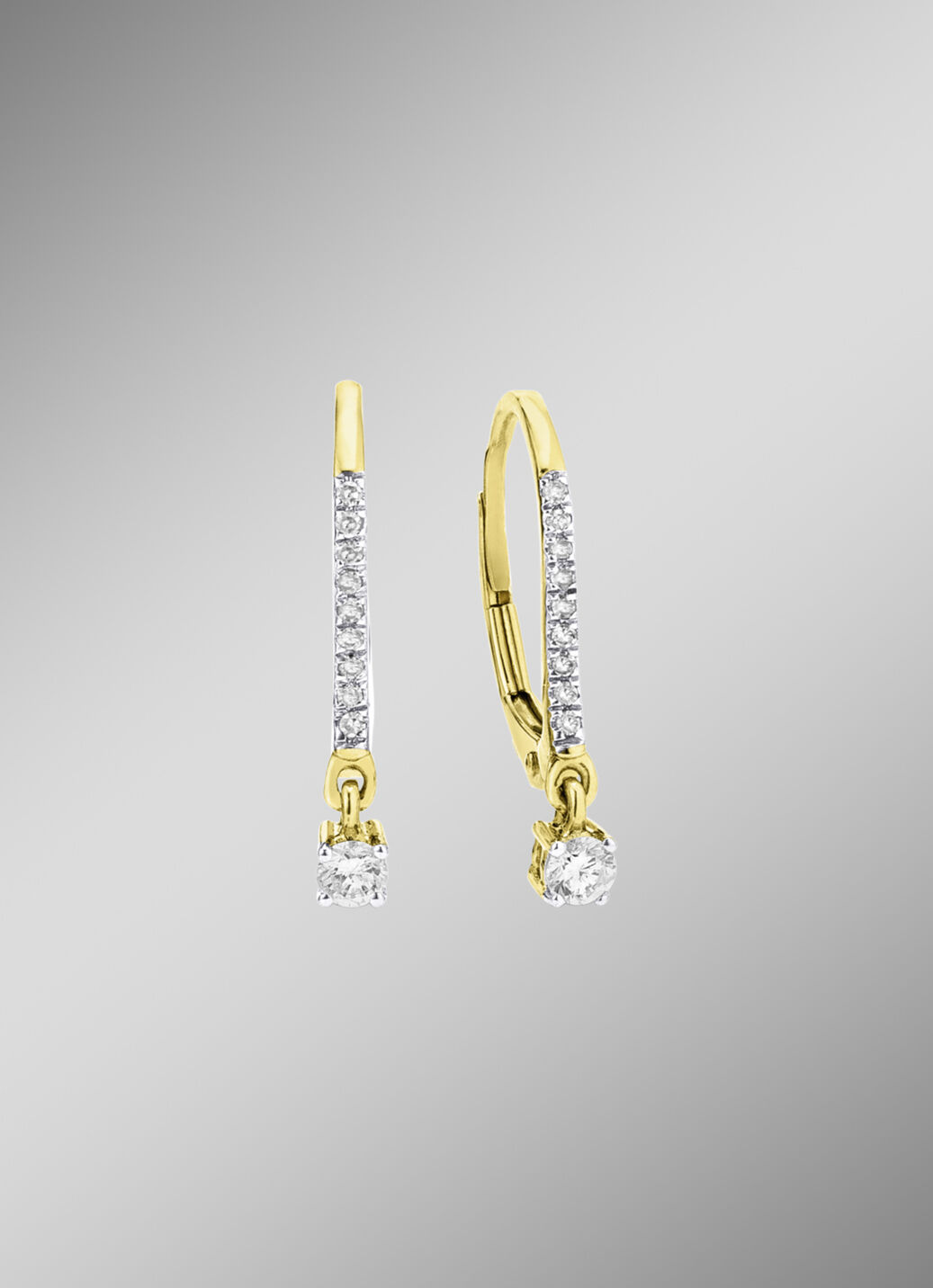 Edle Ohrringe mit 2 Brillanten und 18 Diamanten