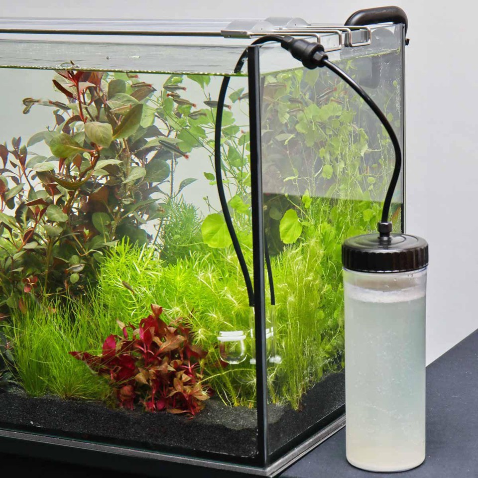 JBL - Proflora Co2 Basic Bio Set