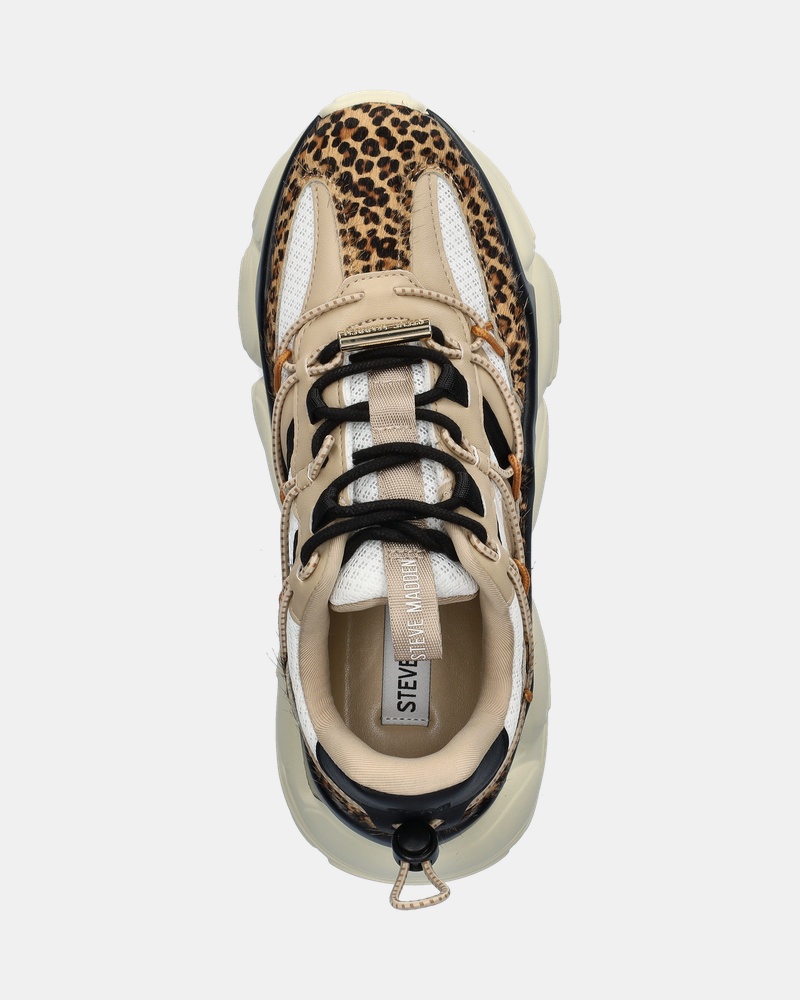 Steve Madden Spectator-L Lage sneakers  - bruin
