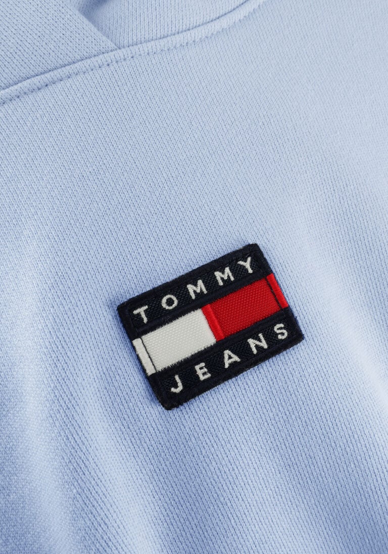 TOMMY JEANS lichtblauwe tommy jeans sweater tjw tommy center badge hoodie