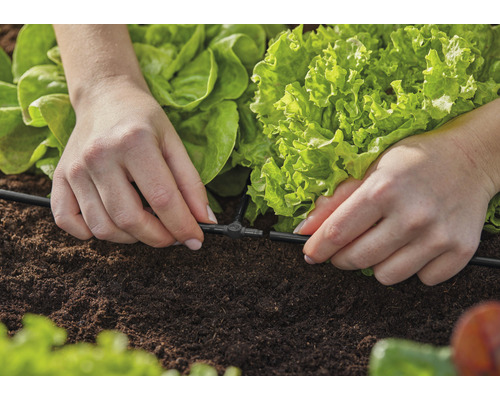 GARDENA Micro-Drip-System T-stuk 4,6 mm (3/16