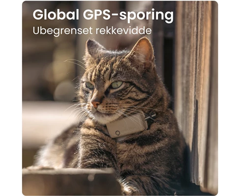 Tractive Tractive GPS CAT Mini - Brown