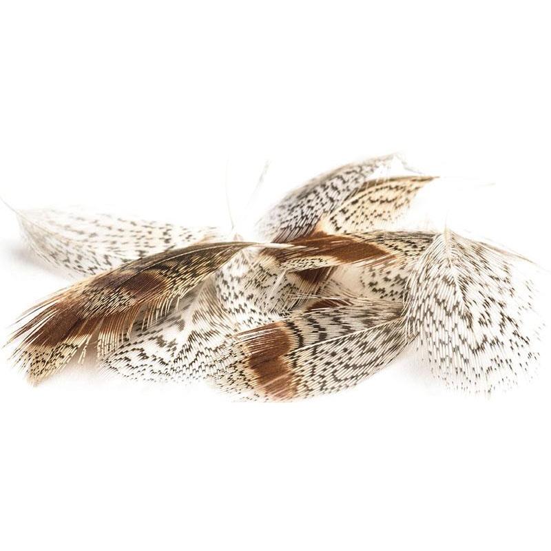 Plumes Perdrix Devaux Dvx