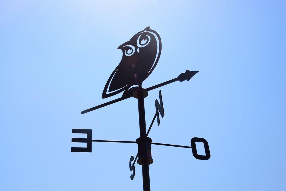 Girouette hibou - 45x72,5 cm - anthracite