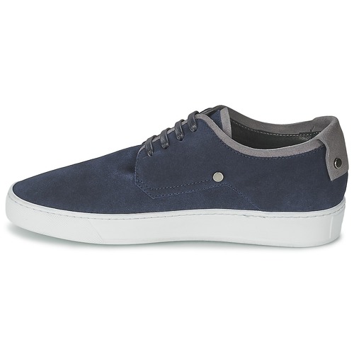 CK Collection - CUSTO - Bleu