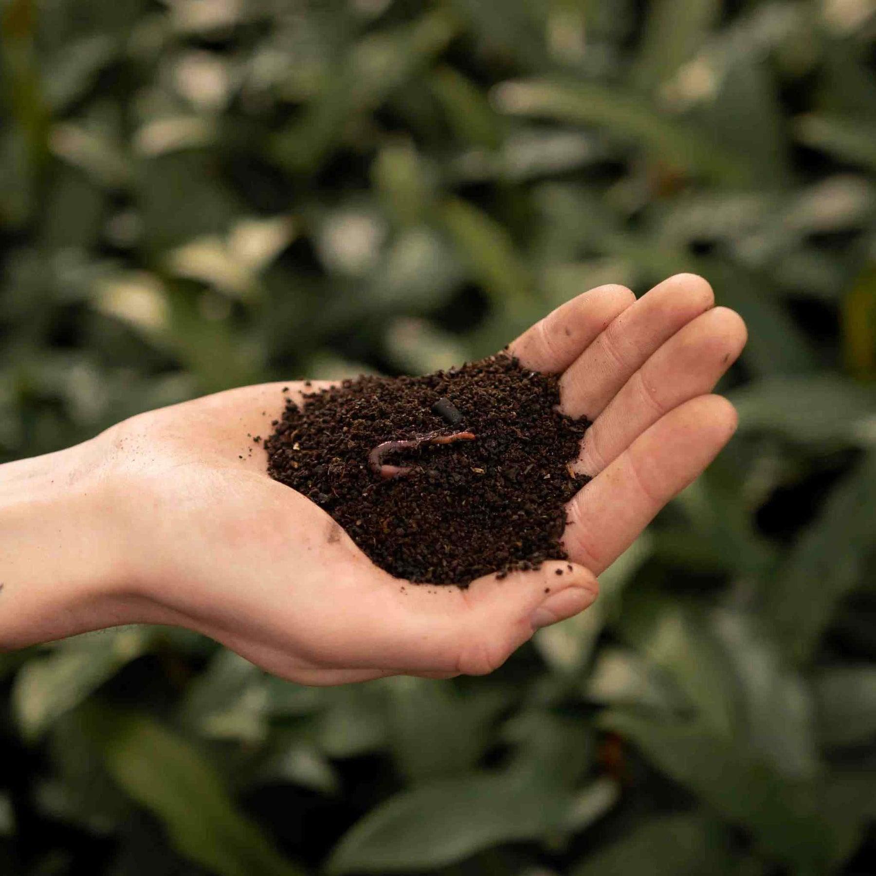 Lombri-compost - 3l