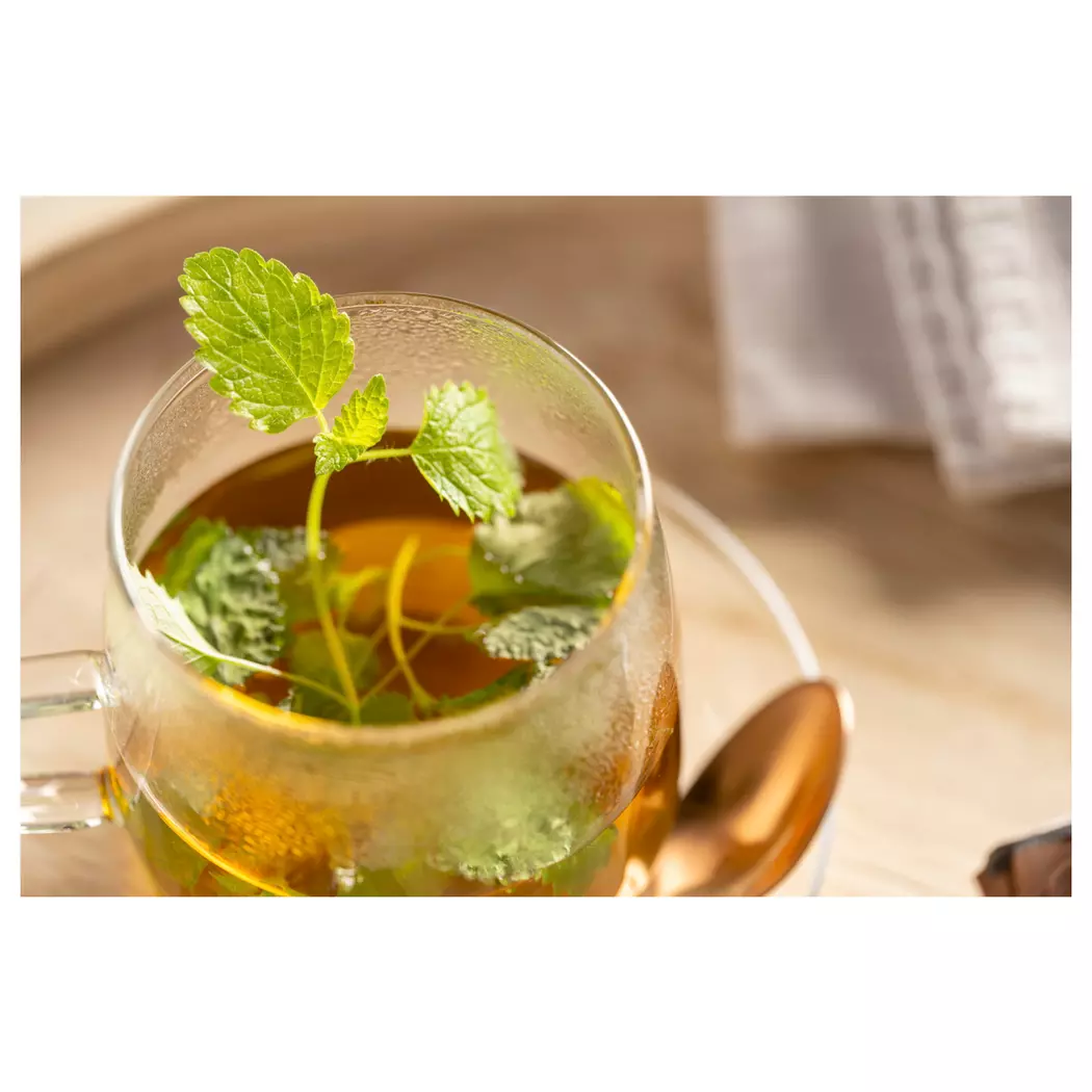 Teetasse Té per te 570 ml