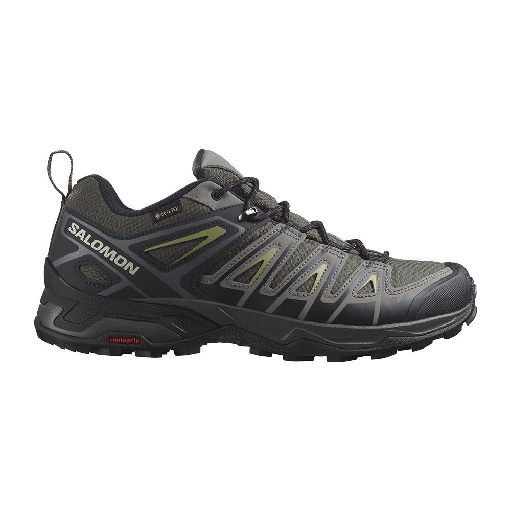 Salomon X ULTRA PIONEER GTX - Chaussures randonné Homme beluga/black/epsom