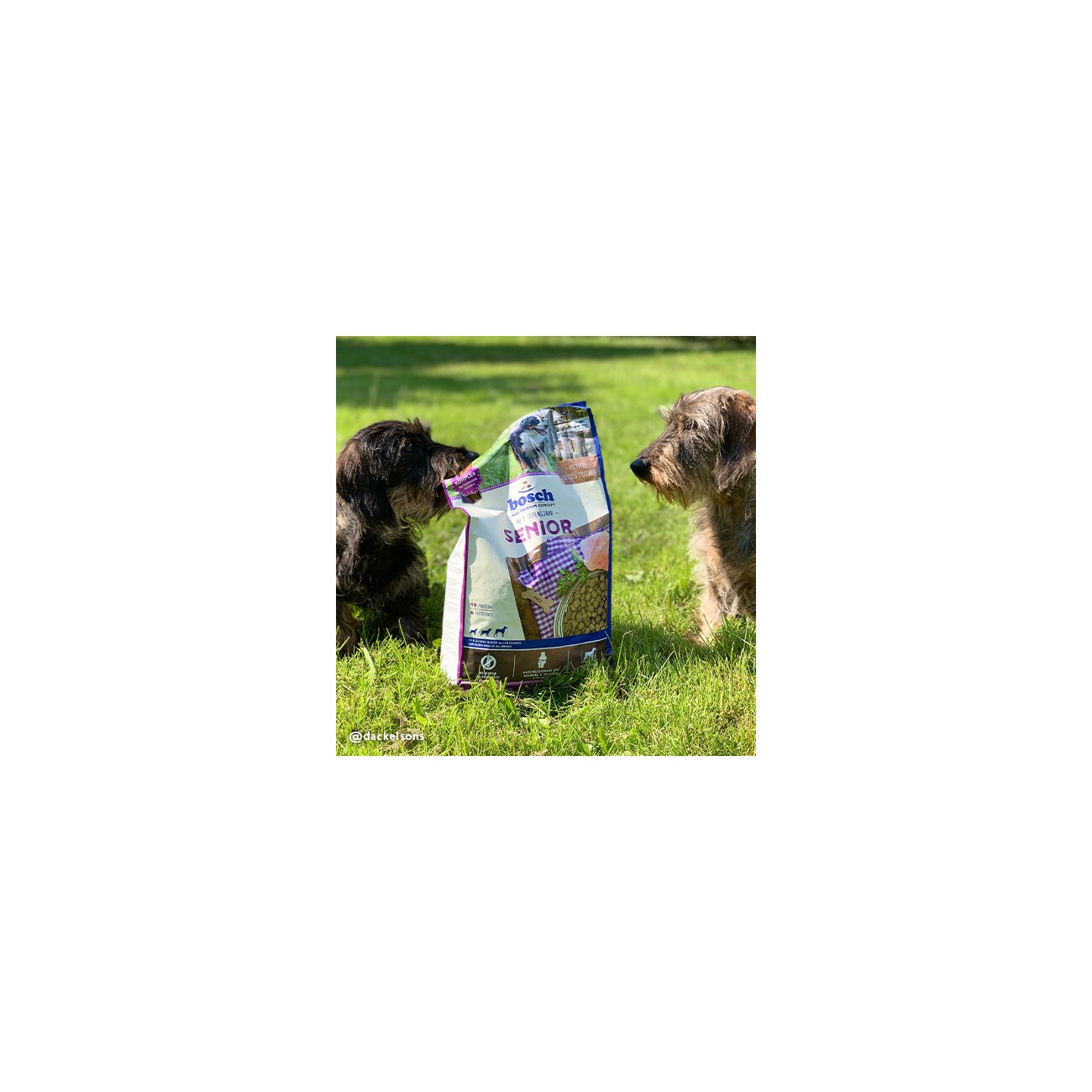 bosch Senior 2,5 kg