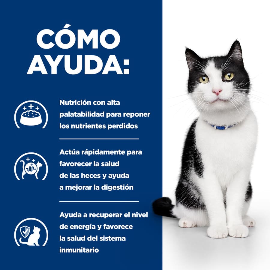 Hill's Prescription Diet Digestive Care i/d Frango ao Molho Sachê para Gatos - Pacote com Vários