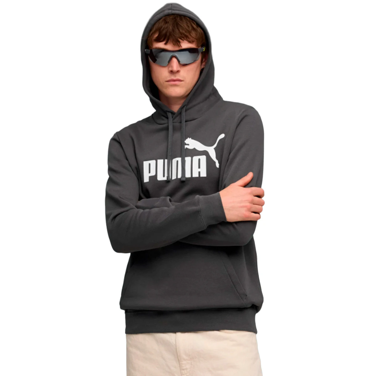 Sweatshirt Puma Essentials No. 1 Logo