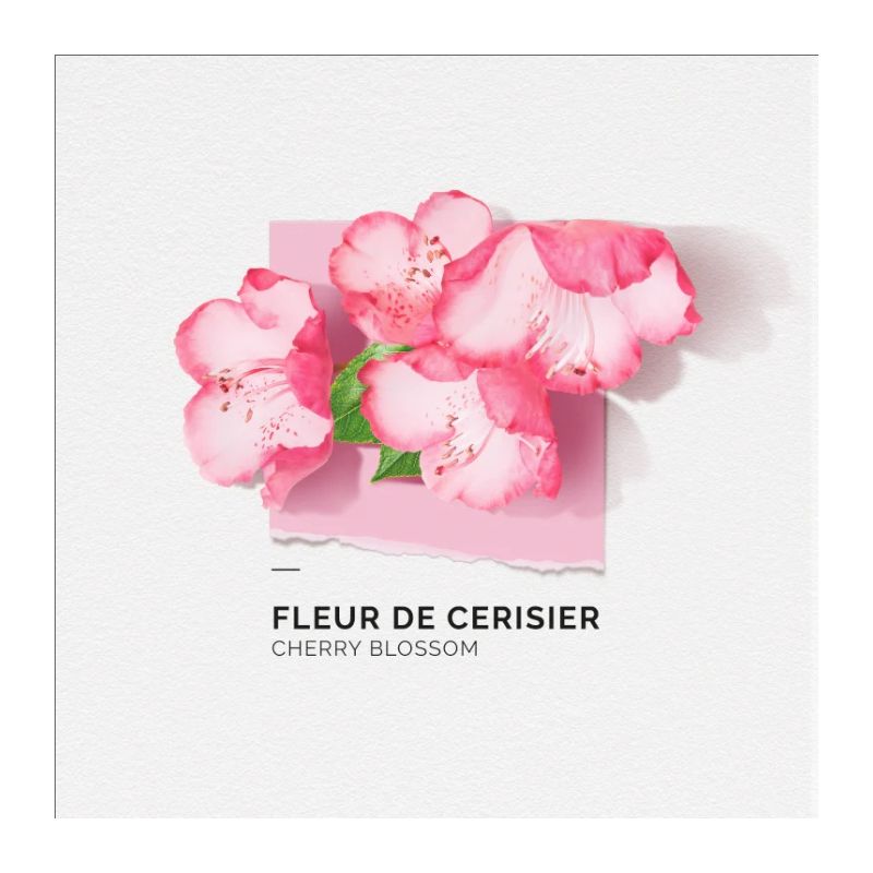 Lait Corps Fondant purifiant Fleur de Cerisier Solinotes 200ml