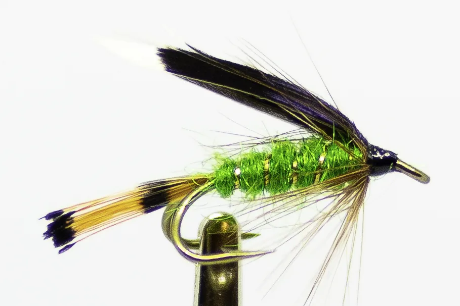 Xstream Heckam Peckam Heckam Peckam Green
