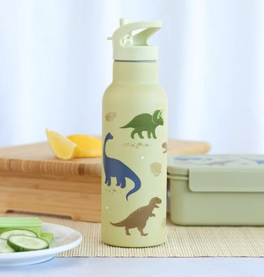 A Little Lovely Company Stainless steel XL Vannflaske, Dinosaurs