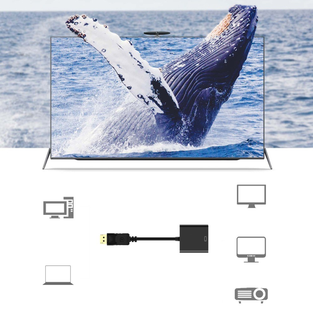(20cm) Displayport DP auf DVI Adapter Anschlusskabel - Schwarz