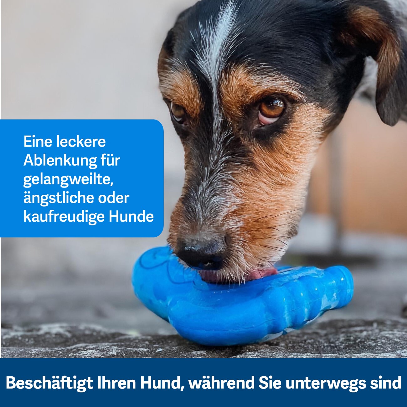 PetSafe Tiefkühlgeeignetes Snackspielzeug für Hunde Gefrier-Pinguin blau S