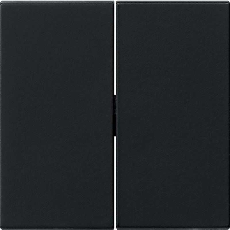 Gira System 55 schakelwip Dubbel mat zwart