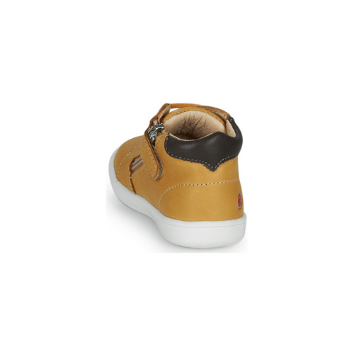 GBB - FOLLIO - Ocre