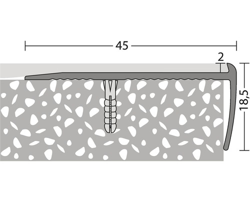 Aluminium zilver geperforeerd traprandprofiel 45 x 18,5 x 2500 mm