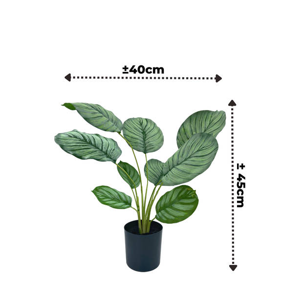 Emerald Kunstplant in pot calathea orbifolia 45 cm