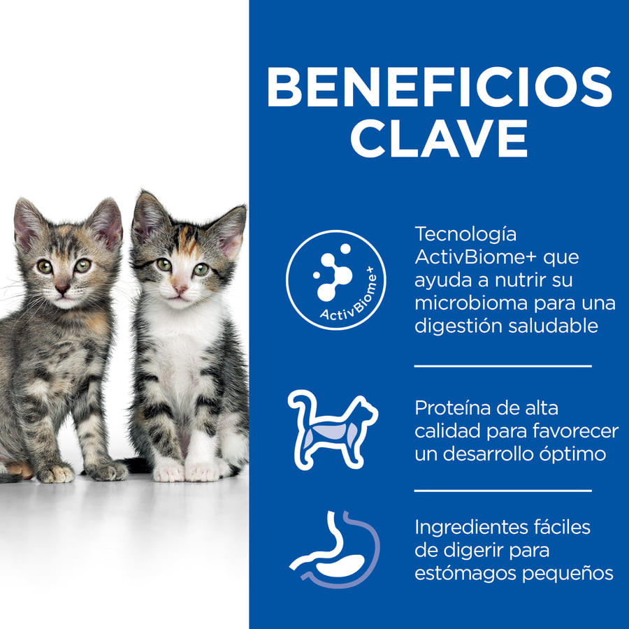 Hill's Science Plan Perfect Digestion Kitten Pienso para gatos