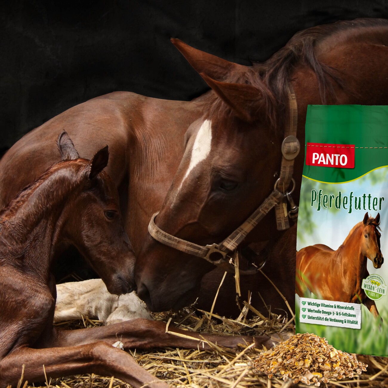 Panto ® ZUCHT- UND FOHLENMÜSLI 20kg