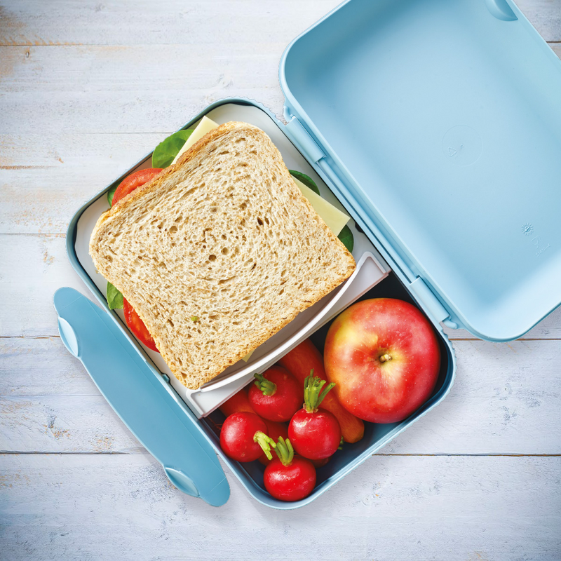 Eco+ Lunch-Box Die Brotdose für den großen Hunger