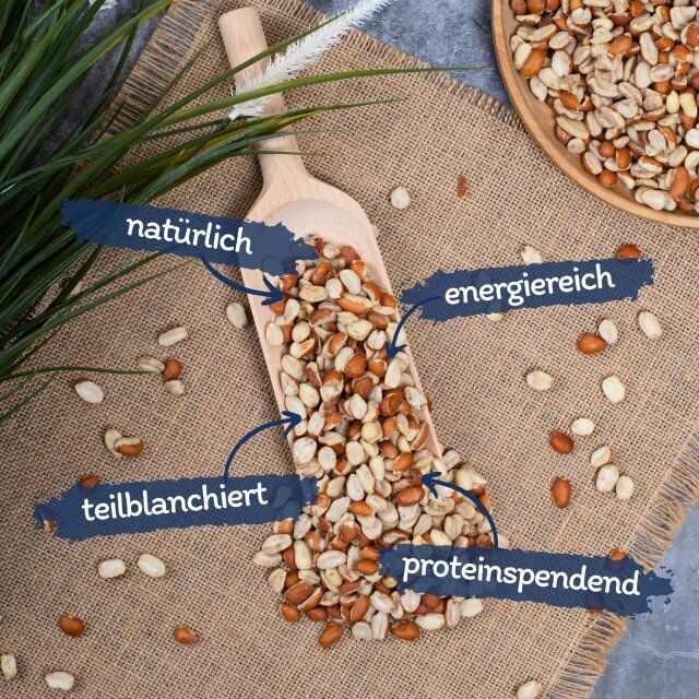 Lyra Pet® Erdnusskerne Splits gemischt blanchiert und mit Haut