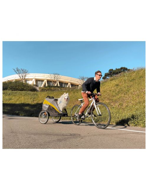 Innopet Hercules 2.0  - Hondenbuggy - Hondenfietskar - 88x60x101 cm Zwart Grijs Geel tot 50 kilo