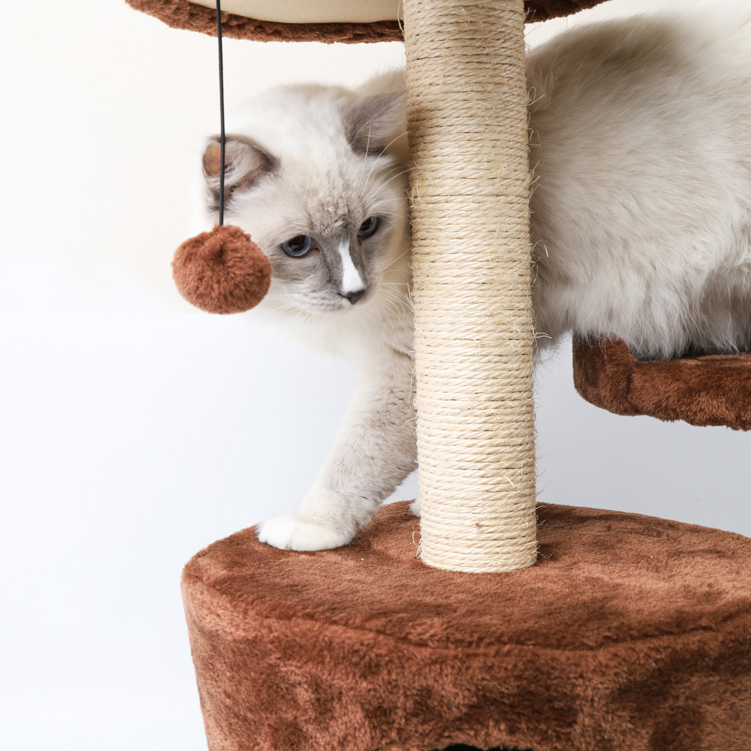 Nobleza - Arranhador para gatos com duas plataformas, caverna e brinquedos pendurados. Marrom, 60 cm.
