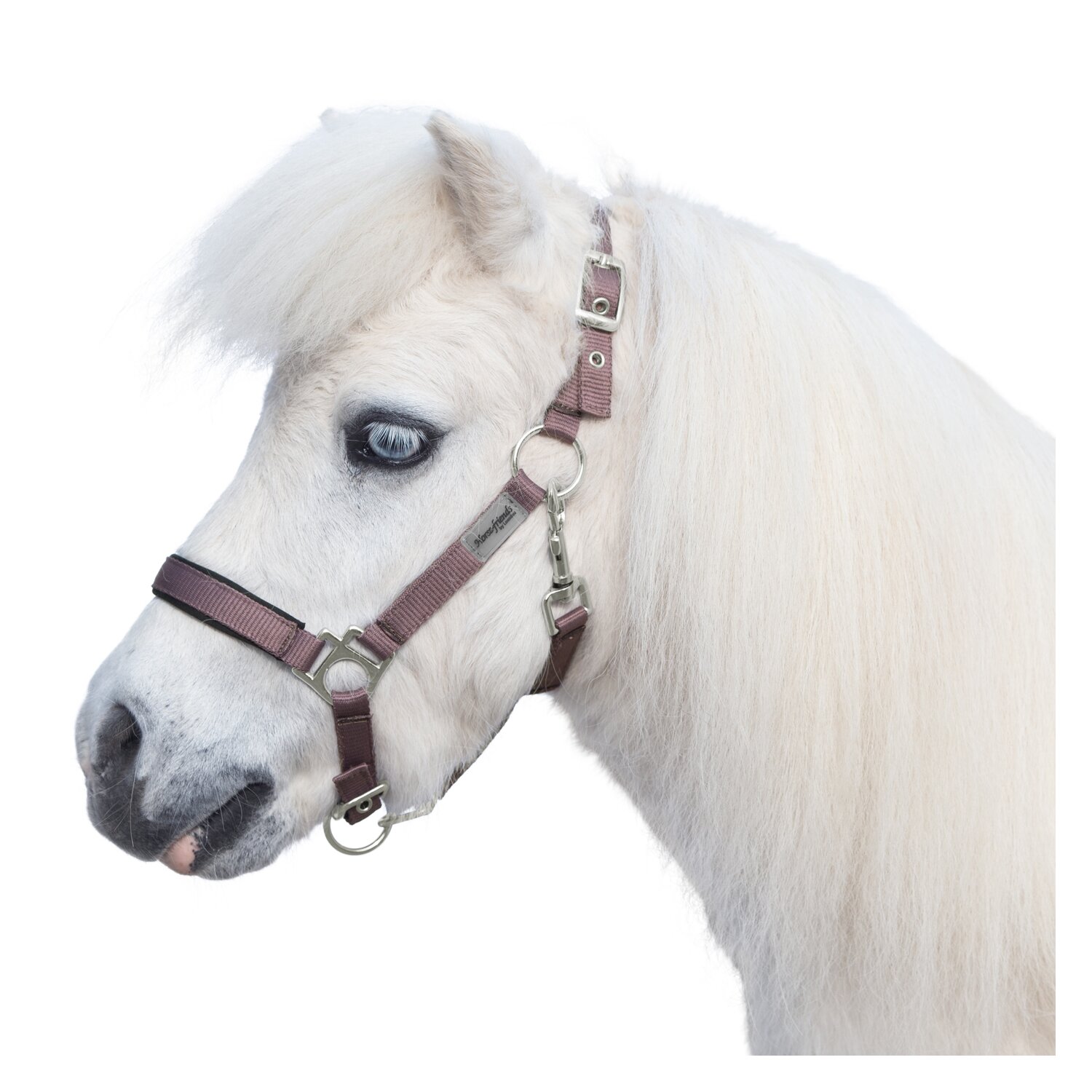 Horse-friends Halfter  - smokeberry