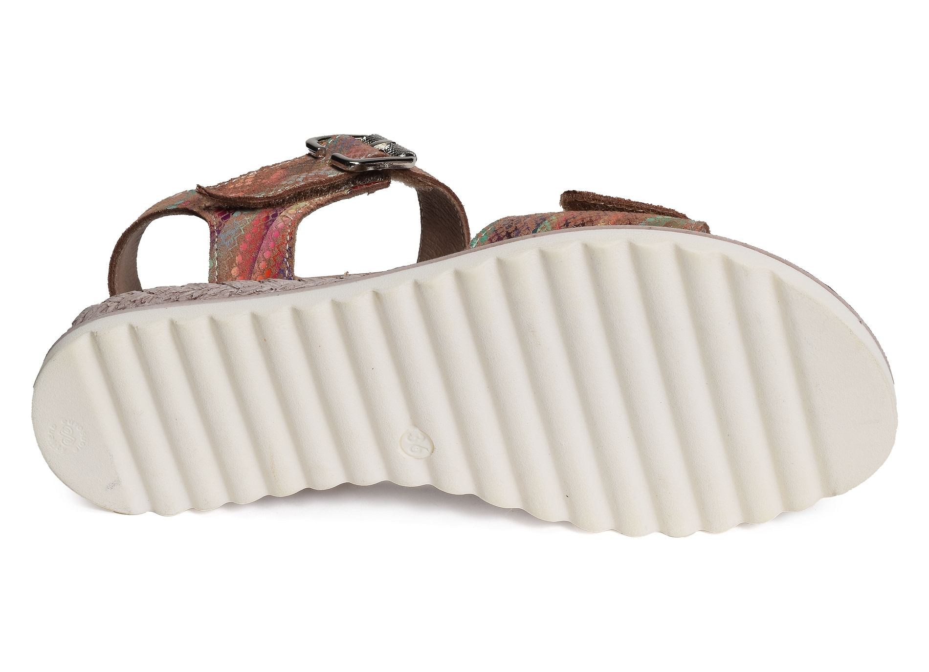 Xiada multicolore
