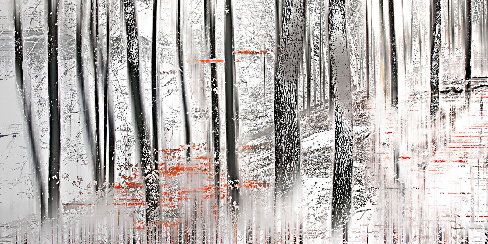 wood_0026 by Sabine Wild - Limited Edition. Edition of: 100. Signed.
