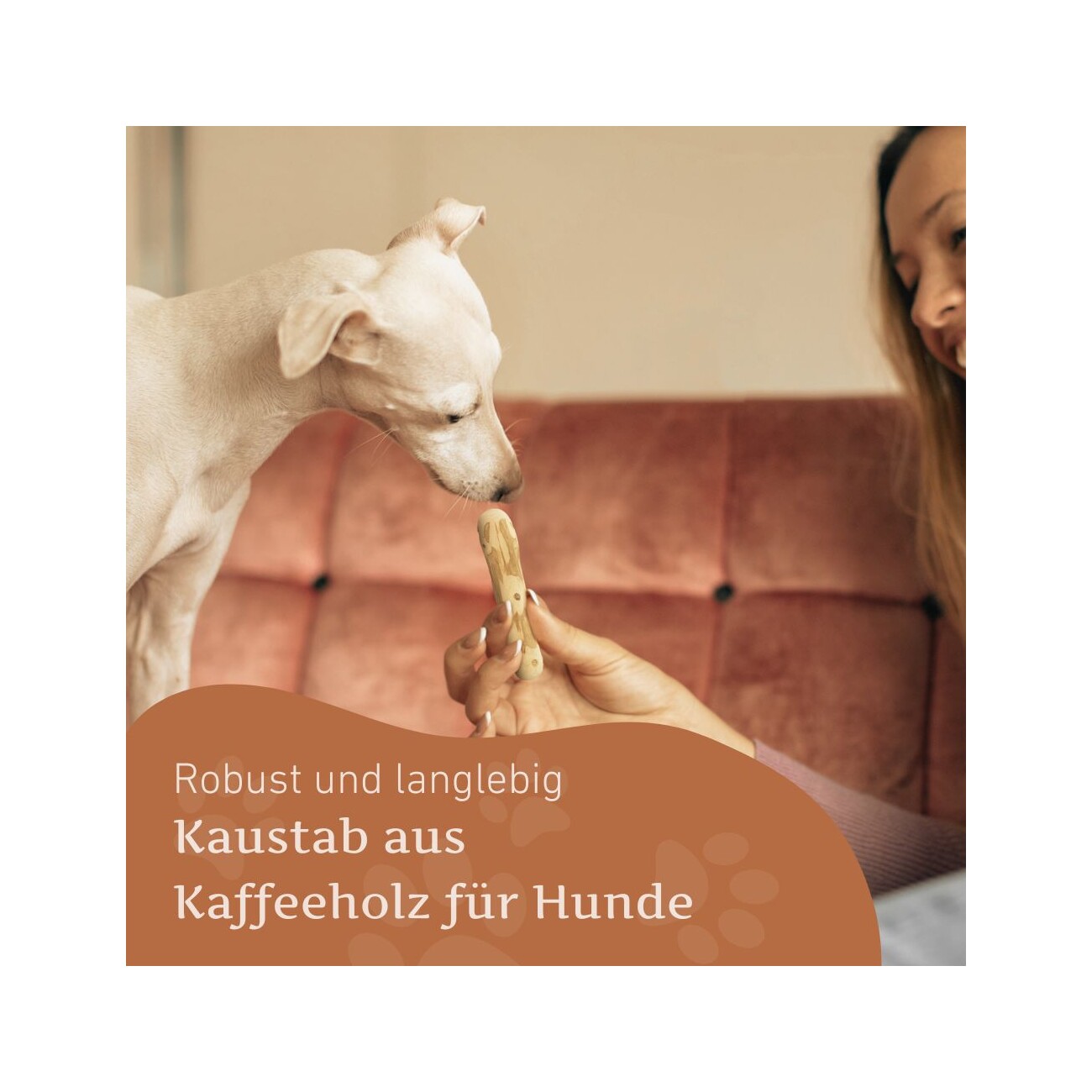 Wildfang ® Kaffeeholz Kaustab 1 XXS
