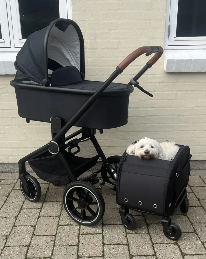 Close2Me DeLuxe Pet-Rider
