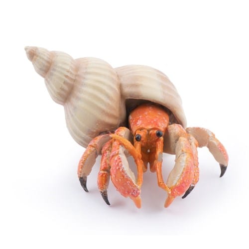 Figurine bernard l'hermite