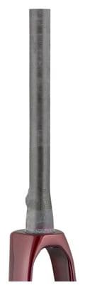 Fourche Rigide Trek Domane  LT 2020 700C Rouge/Bleu