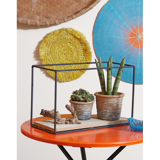 Humidificateur de plantes Ø 9 x H. 16 cm