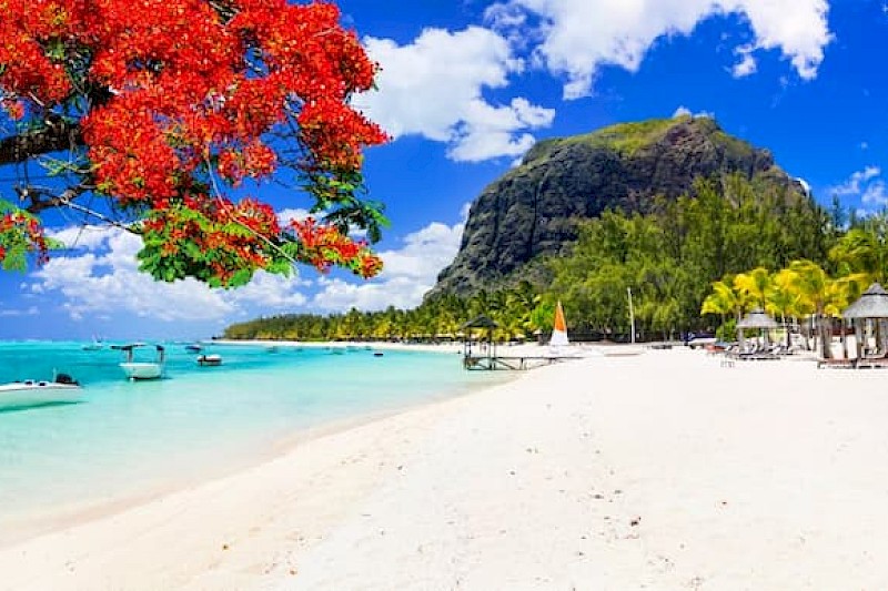 Combinatiereis Zuid-Afrika & Mauritius