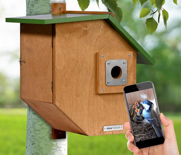dobar® wildlife Nistkasten Brunhilde, inkl.