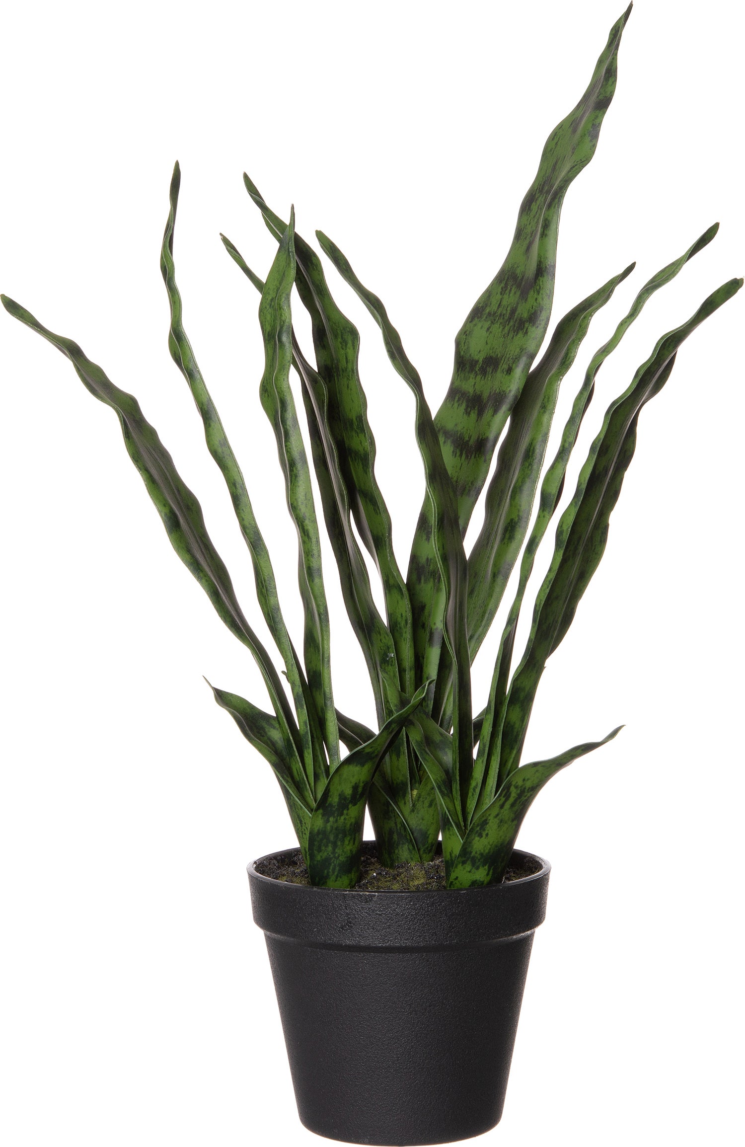 Intratuin kunstplant Sansevieria D 15 H 61 cm