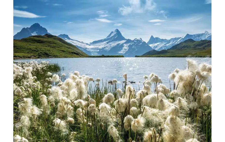 Puzzle Bachalpsee GrindelwaldKlassisches Puzzle