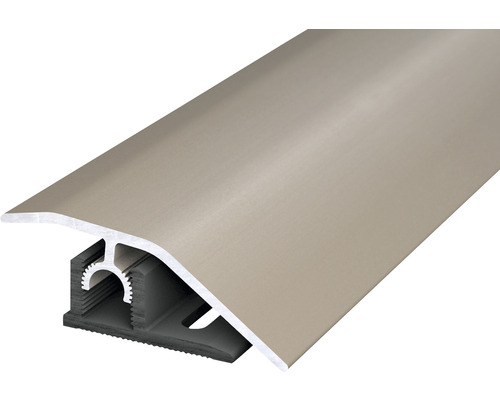 SKANDOR Verstelprofiel Aluminium RVS Look Geanodiseerd 10x44x1000 mm