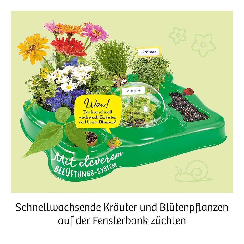 Experimentierkasten MEIN ERSTES GEWÄCHSHAUS